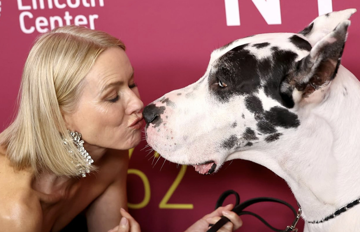 Abstract abstract art 3d 31141940 2560 1600