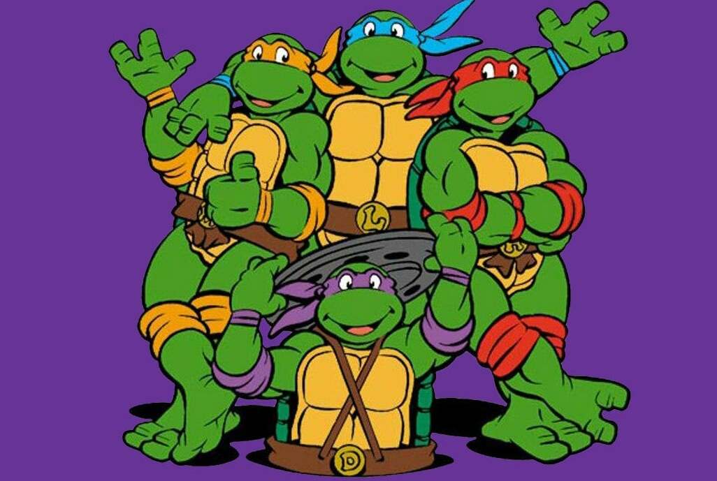 15e8c87c6b8c4f75a813c9b29f0d0854 turtles0808141280jpg 0d27ef 160w