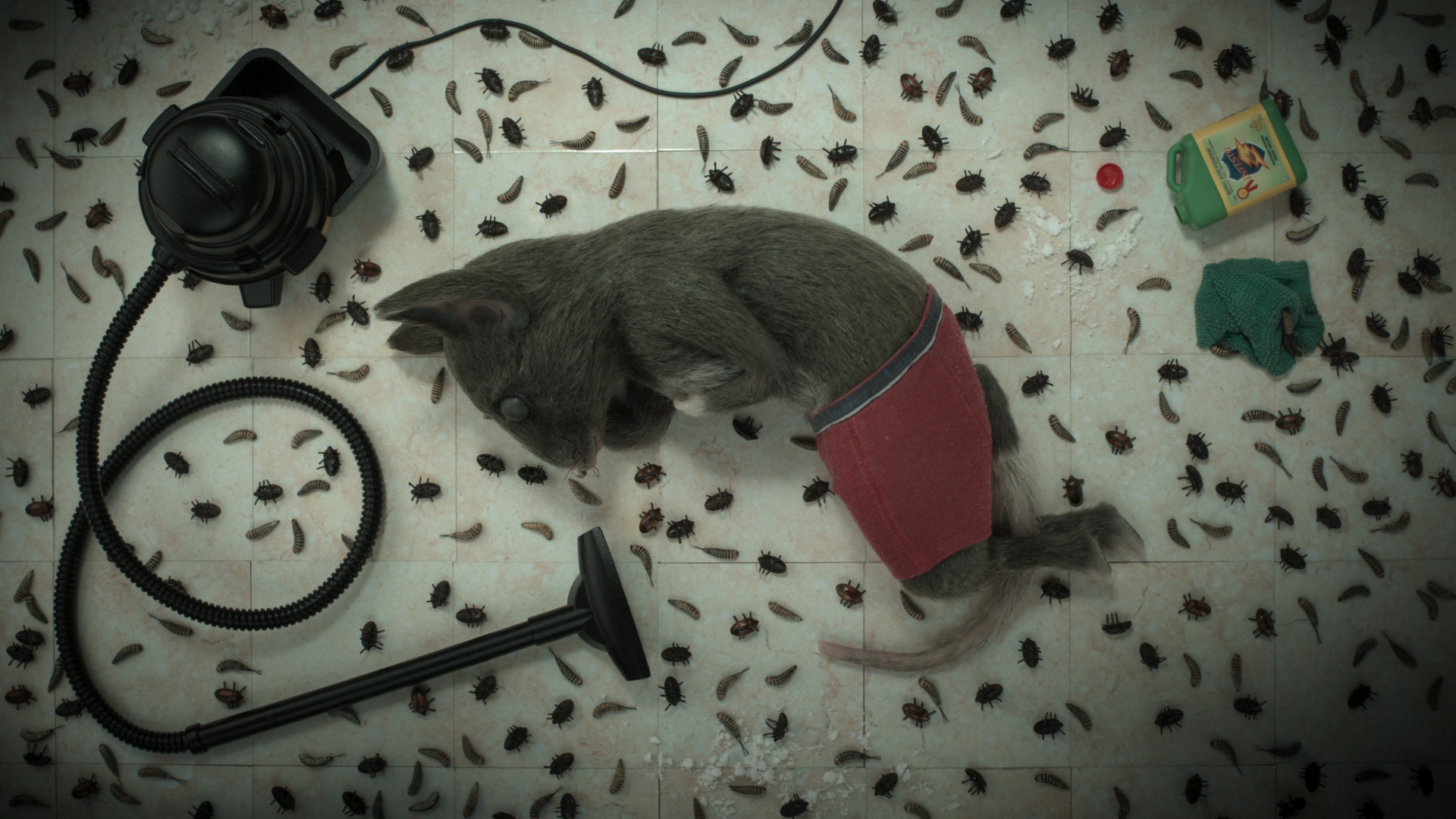 40c884649eff2413c18190152e71b3d3 the house chapter2 00 39 08 17