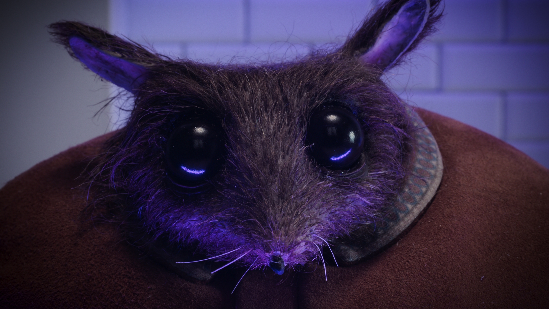 40c884649eff2413c18190152e71b3d3 the house chapter2 00 45 54 23