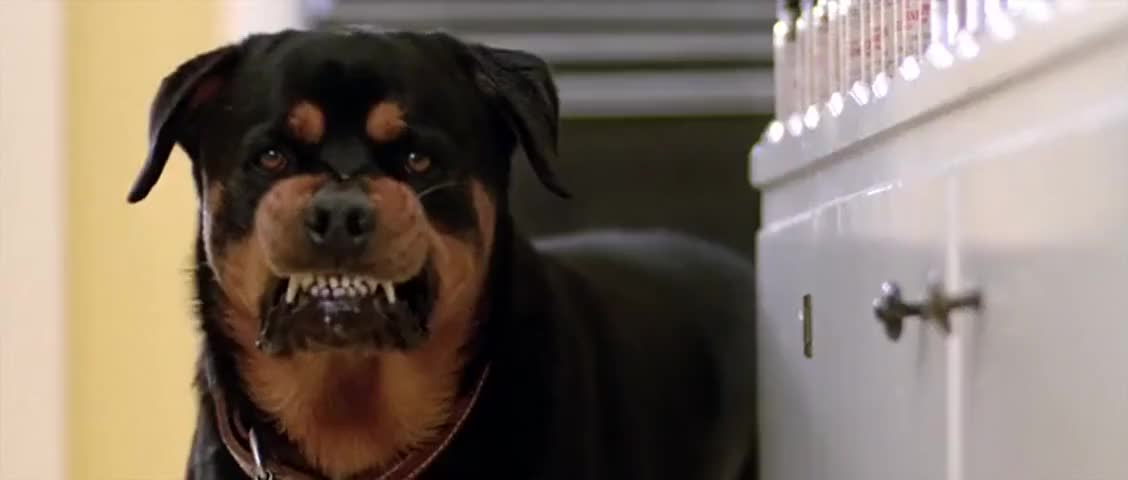 Abstract abstract art 3d 31141940 2560 1600