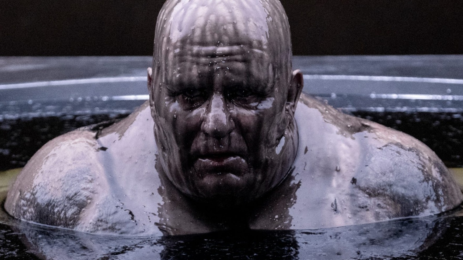 827331b2c4292fa360a18069fb5f2f36 stellan