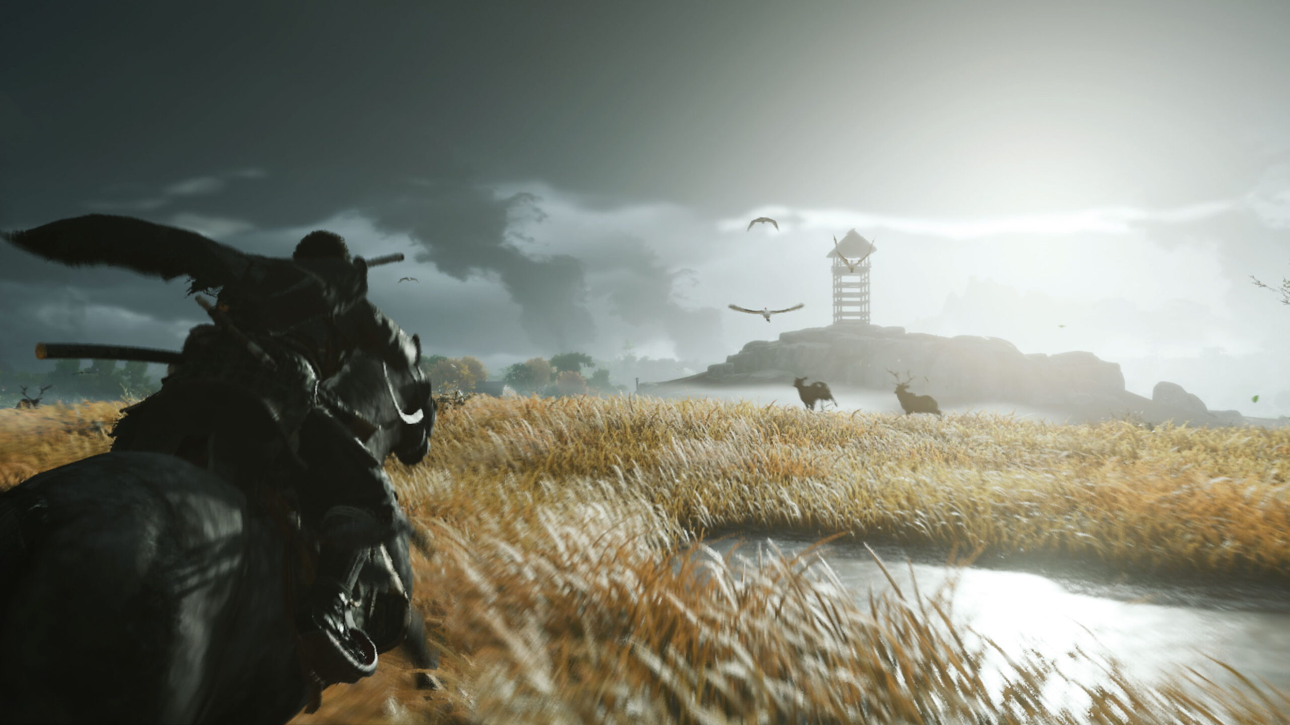 Abstract abstract art 3d   31141940 2560 1600