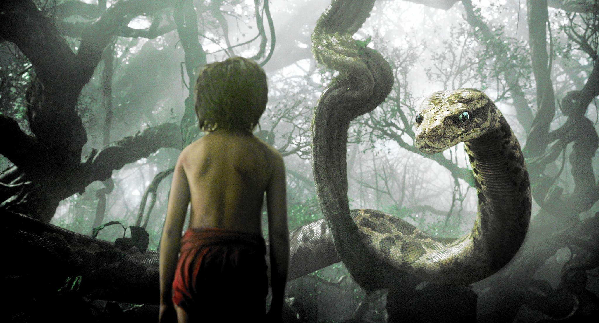 Abstract abstract art 3d   31141940 2560 1600