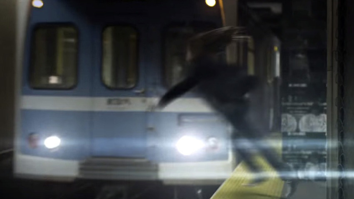 C790c671b41f1081859826054f34bb52 zoe1200