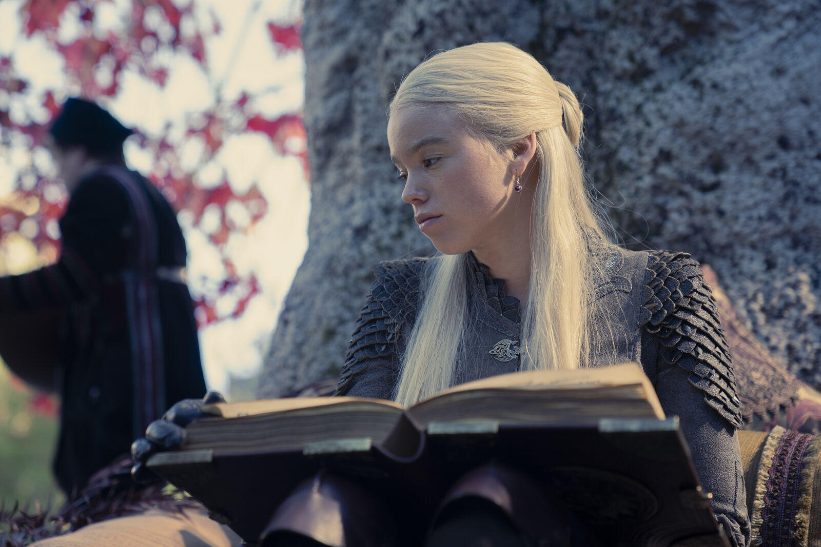 D1de82ee95103fd8bb56f4356a14468c 819099 6094073 6000x4000 medium