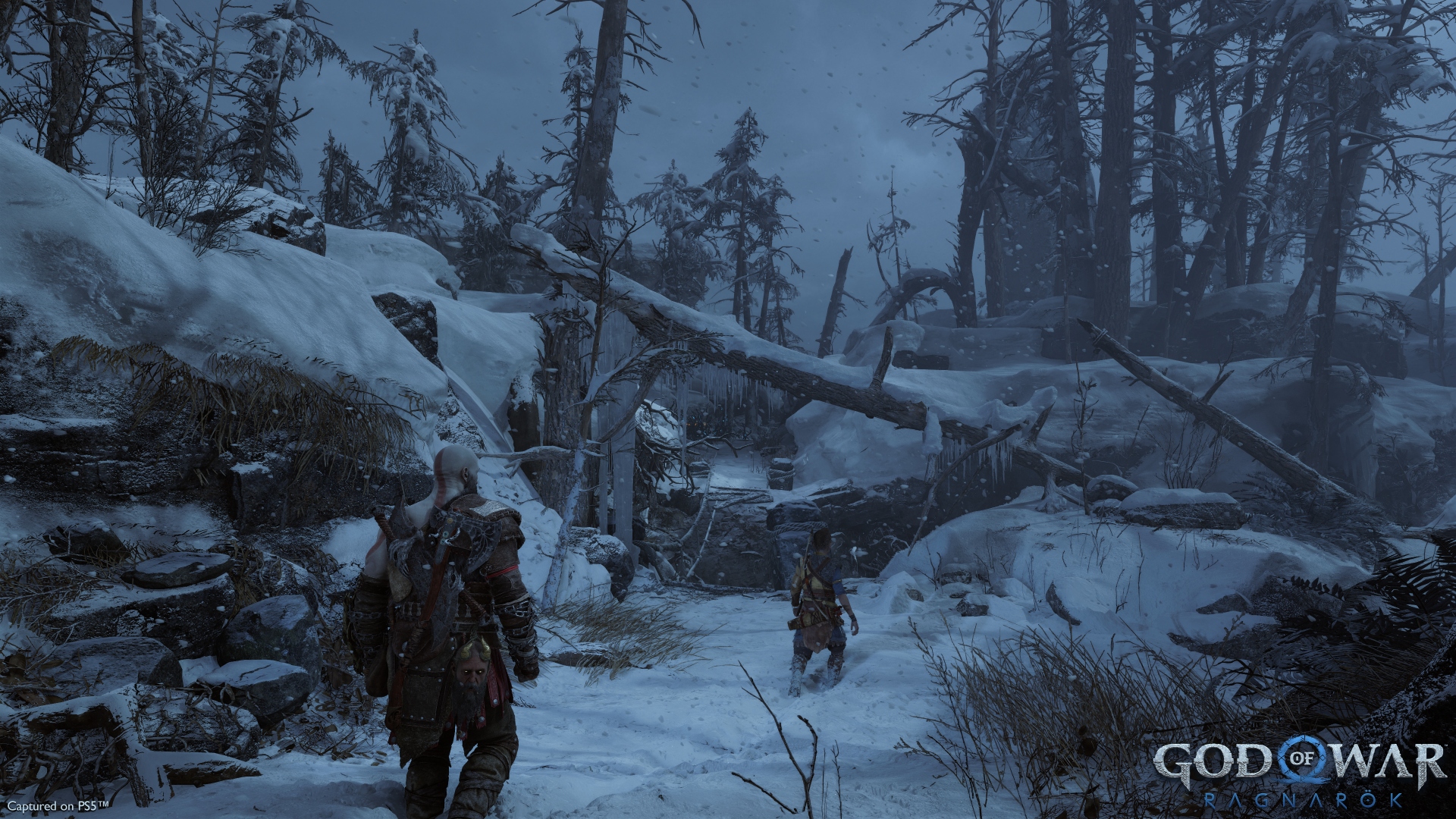 D7badcddefc6b308b5394968c8603d15 gowr preview screenshot 06