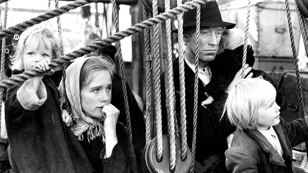 Abstract abstract art 3d   31141940 2560 1600