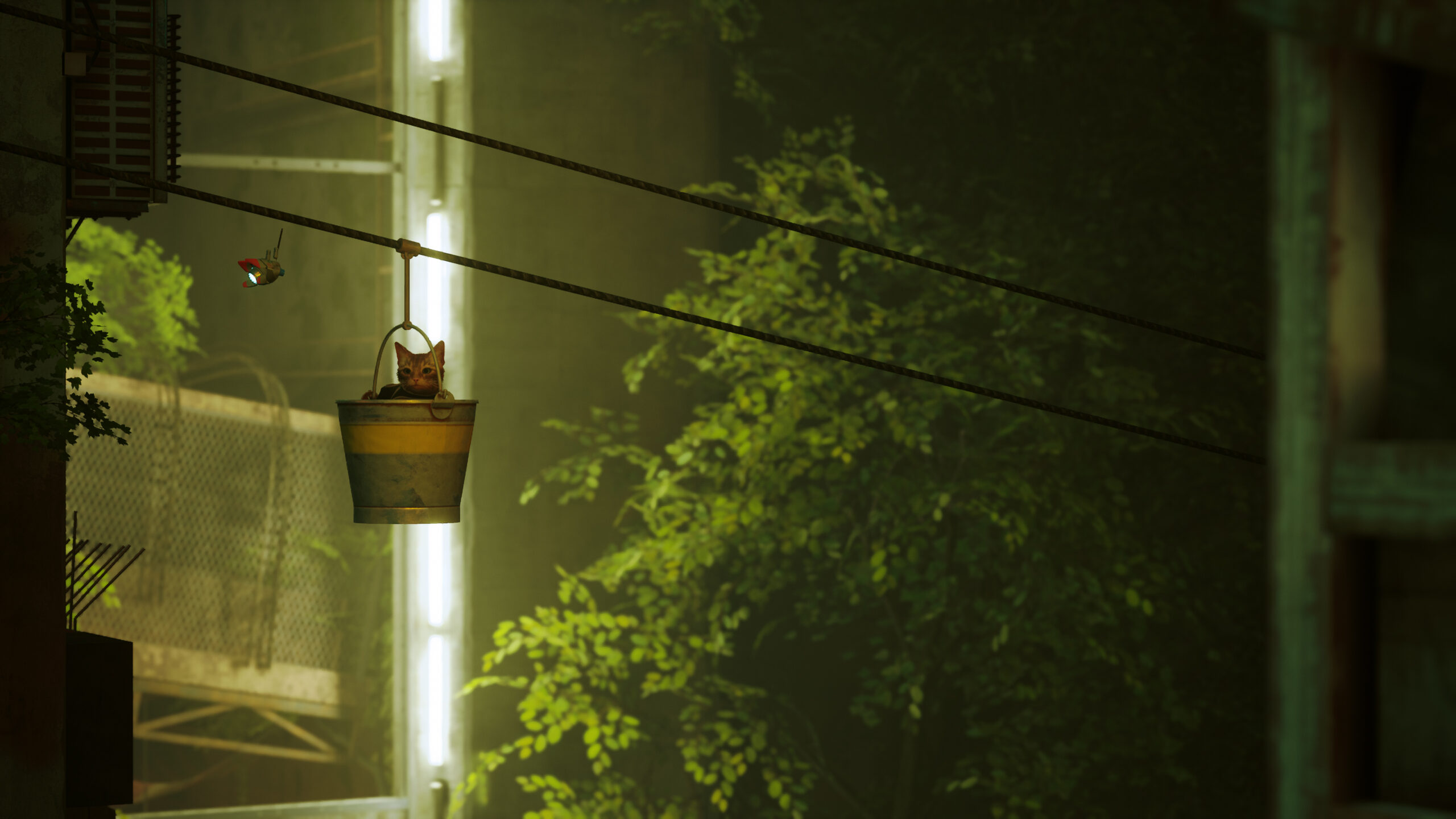 E4a01c5df6c9c0afb70a53771d2ecfaa 52118594255 87df8d3fd3 o