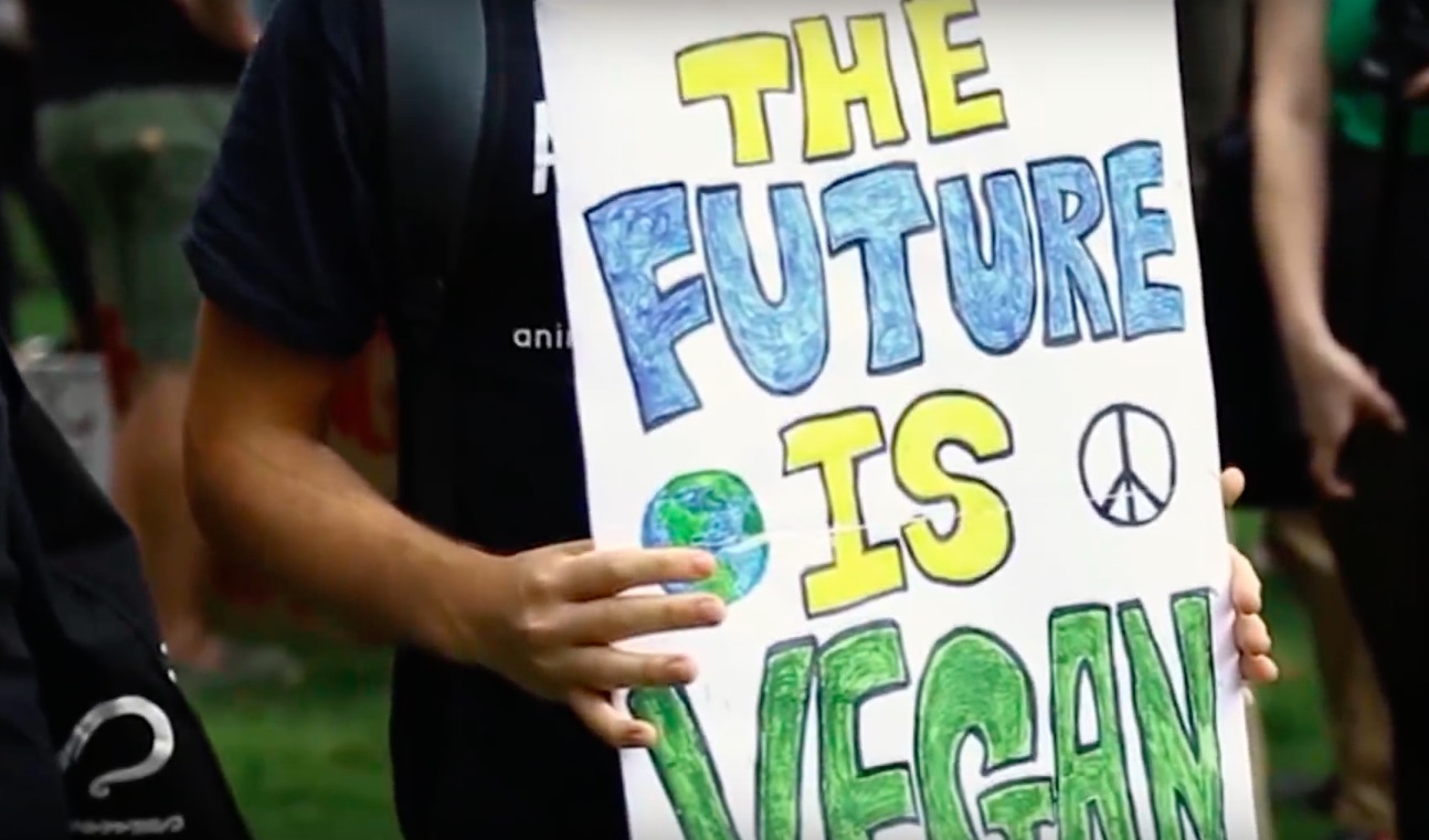 Eec780ba5c9859ac5a517b39e2d21bea vegan2017