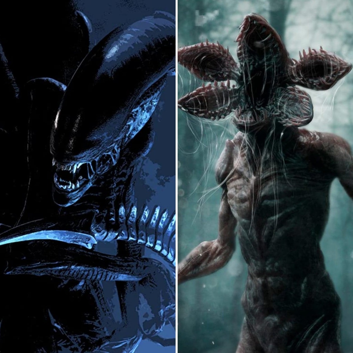 Large 004ba77a92271e1e9e288b66f0f49a58 vs1