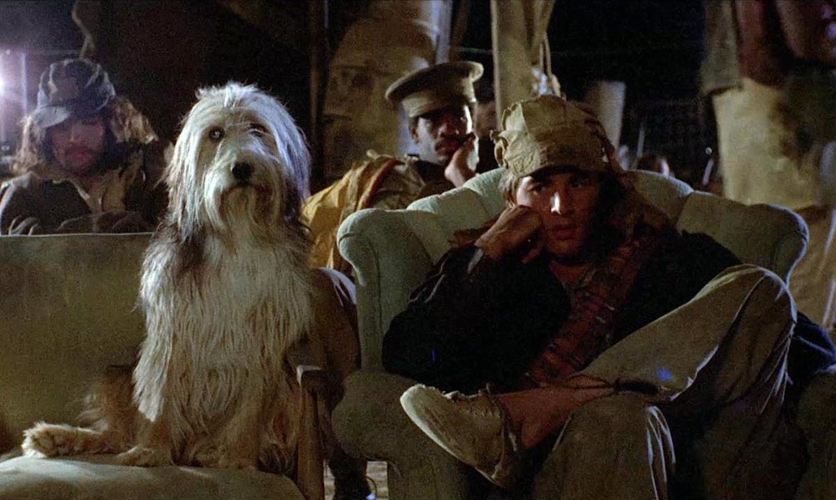 Large 01d12cd4863a3981419c116b6aba24b9 a boy and his dog 1975 featured 1