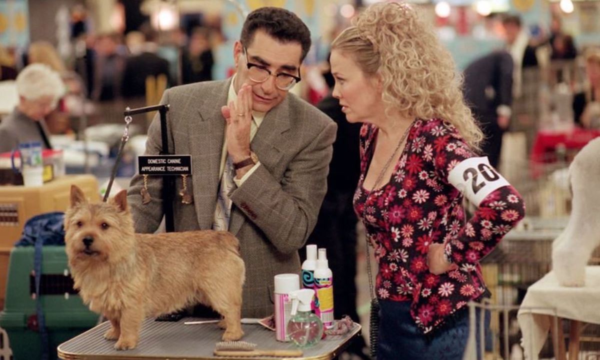 Large 01d12cd4863a3981419c116b6aba24b9 best 20in 20show