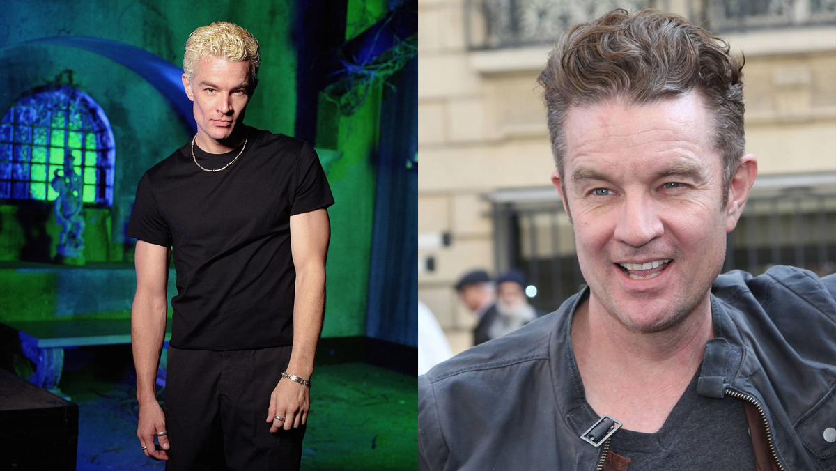 Large 132539224a27cdf39208cdc1499d3782 spike