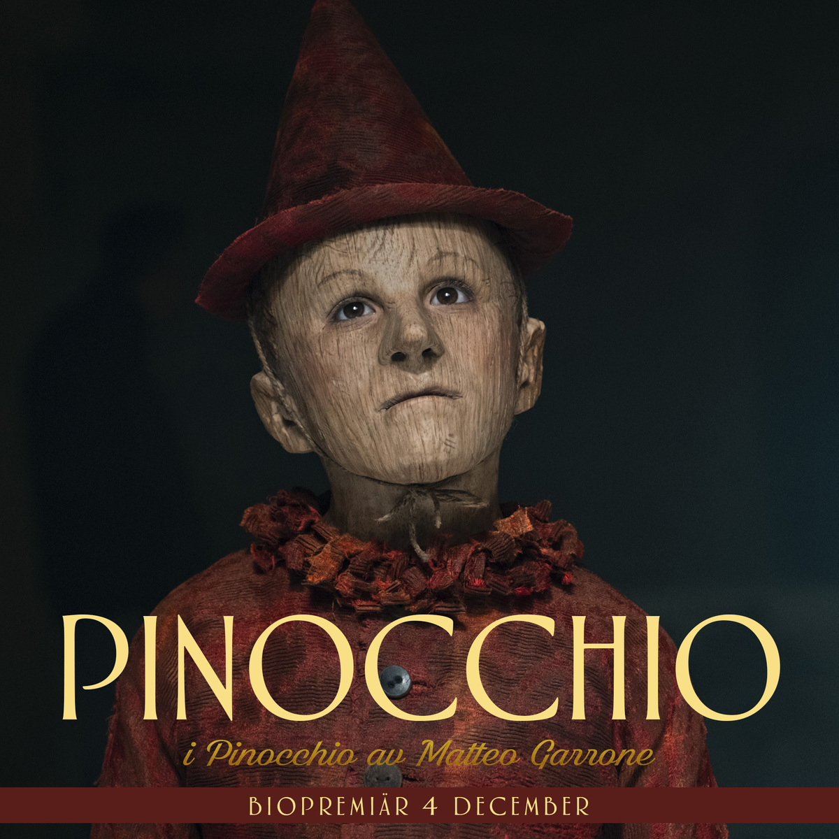 Large 2f5cbab8fce87691b6b2c86020220032 pinocchio pinocchio 4dec