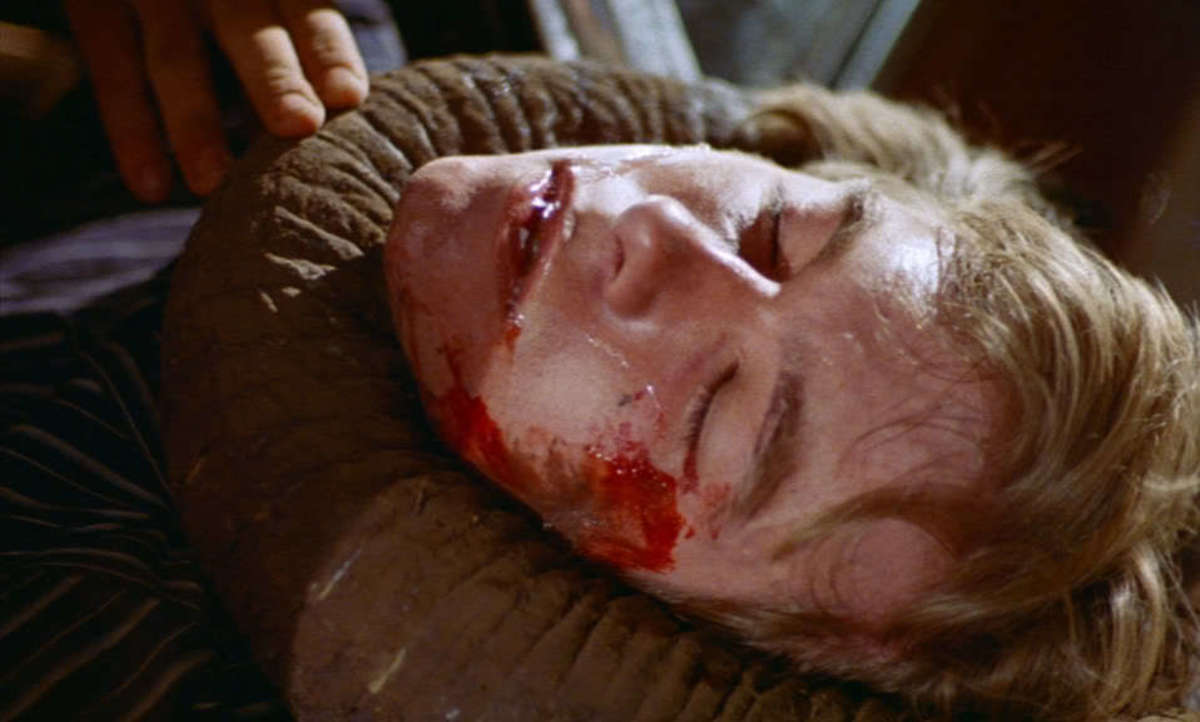 Large 35a5e785f384e561dcd21680bf9a2622 wild 20beasts