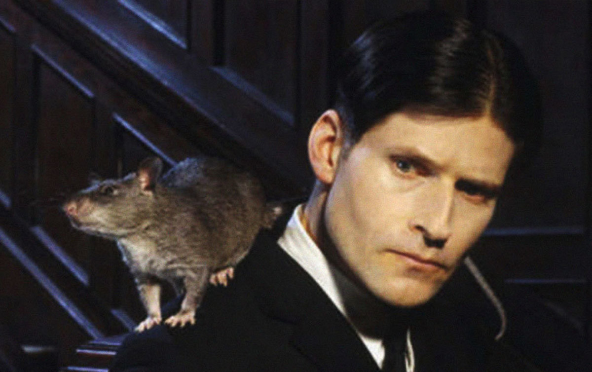 Large 35a5e785f384e561dcd21680bf9a2622 willard