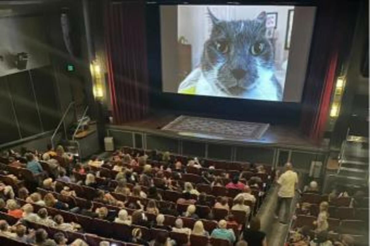 Large 35cb3fc1cce799159640680ad707307b file 1 e1722892307235