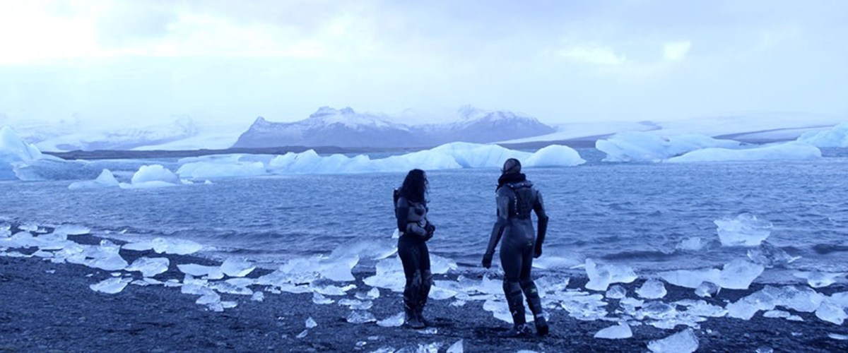 Large 3ace0804f8e01591b3e55a6cf2267c70 alien reign of man 8