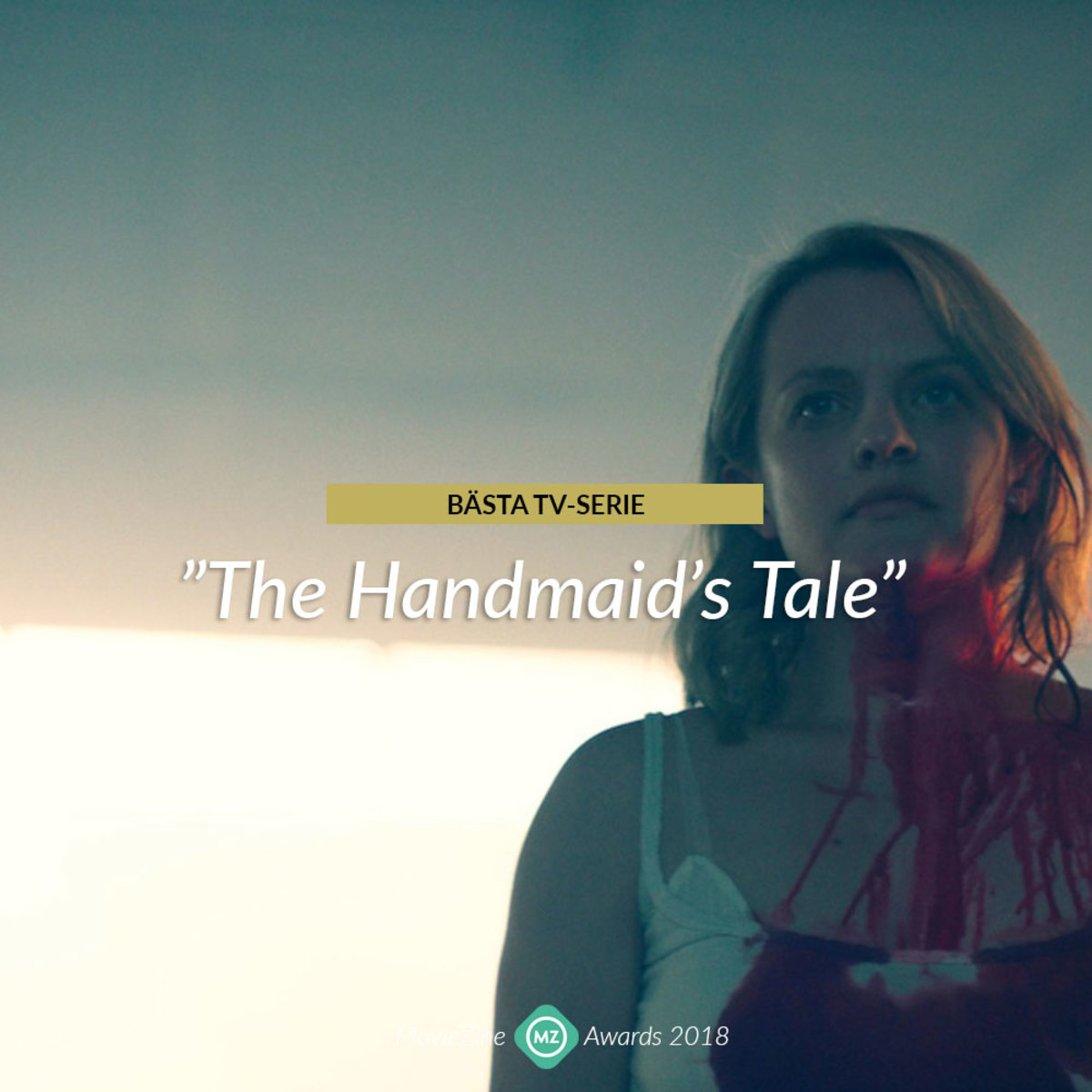 Large 3baee8d5f46d669fbce833033f7d2011 mz serie