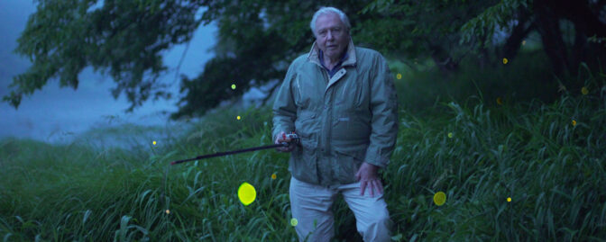 Gör dig redo för mer natur-tv tillsammans med David Attenborough