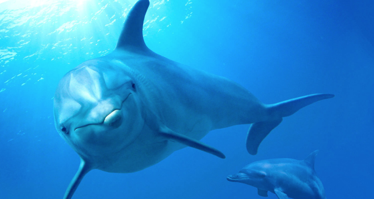 Large 4acb14b6e175c6a29ddd6292bd65abf7 screenshot 202020 07 10 20at 2017.06.16