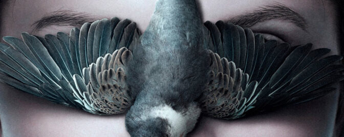 4 festivaltips från Andreas Samuelson