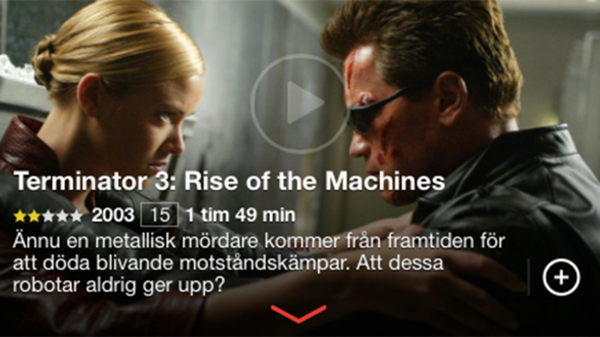 Large 575150ed3ed156c37f9111314a3c69e6 x netflix terminator3