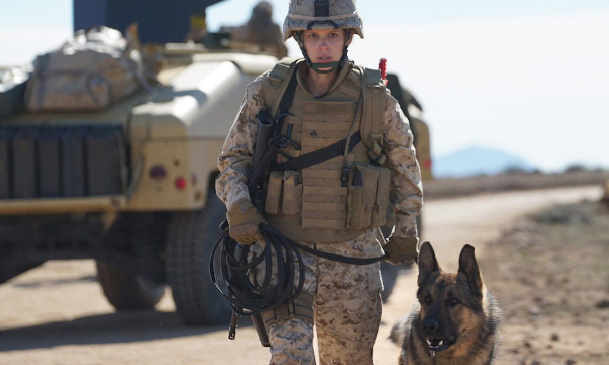 Large 5752a404dfbb29c9cb7f2af2dd1a945a megan superjumbo