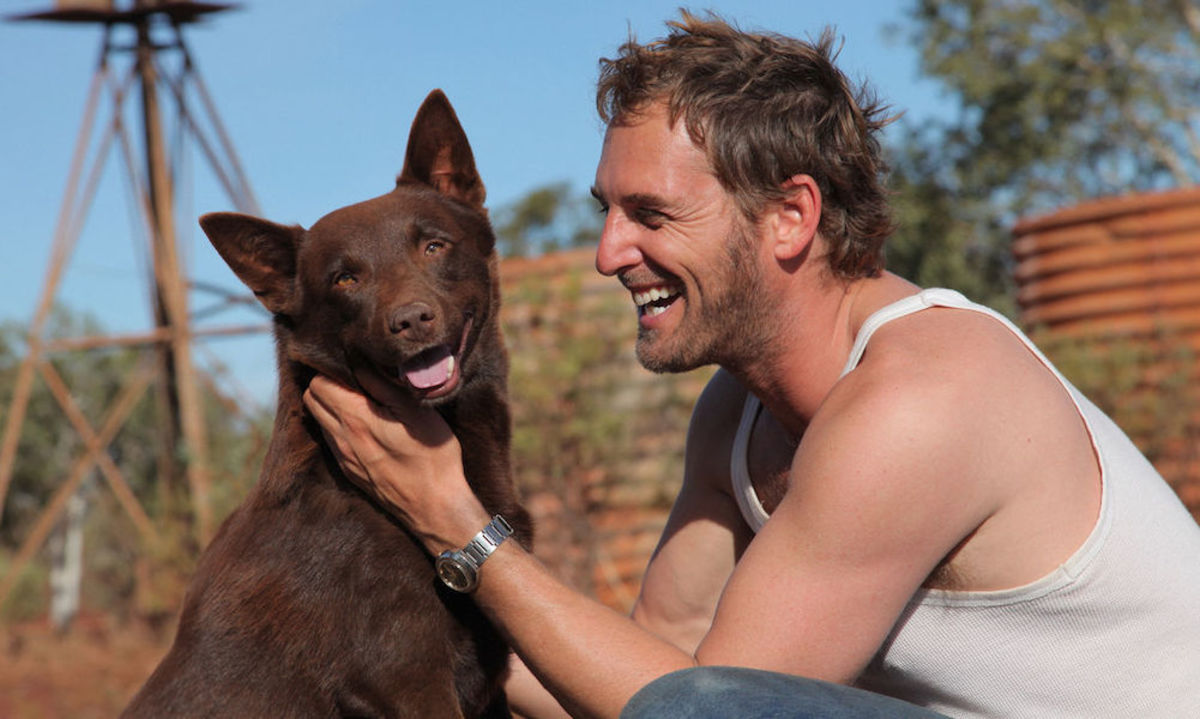 Large 5752a404dfbb29c9cb7f2af2dd1a945a red dog 2011