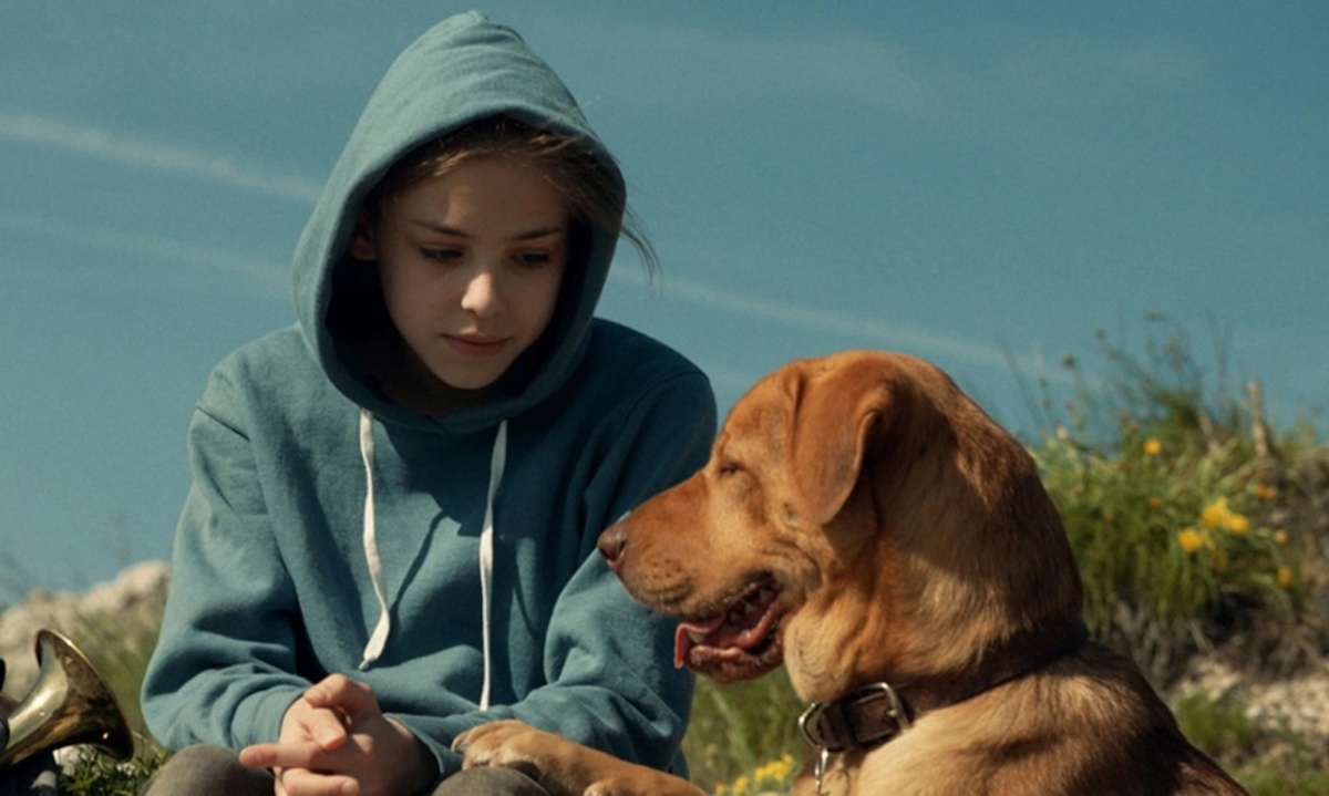 Large 5752a404dfbb29c9cb7f2af2dd1a945a revolten 20 kopia 