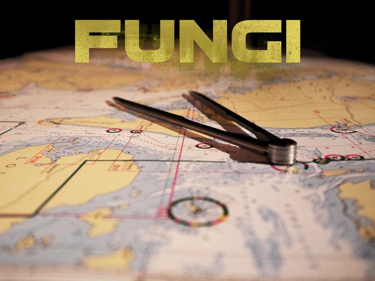 Large 575c4056f74977930f31dab8ef48fc38 ska cc 88rmavbild 202021 05 13 20kl. 2010.59.50