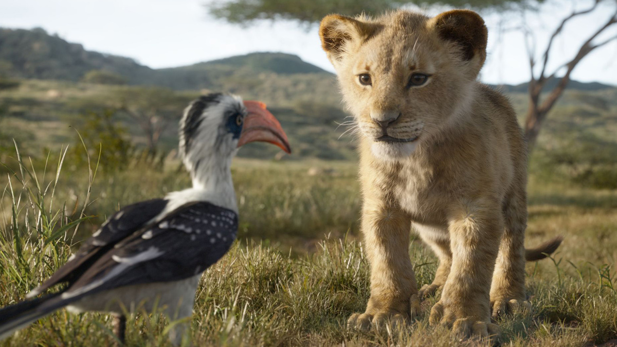 Large 6c1e643f96f76baaa76d2af311ca4b1f 3560721 lk1