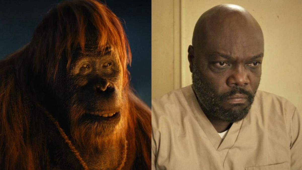 Large 77ced72bc2a1492ee8fe591ec28bdb3e shelterinsolitudepetermacon