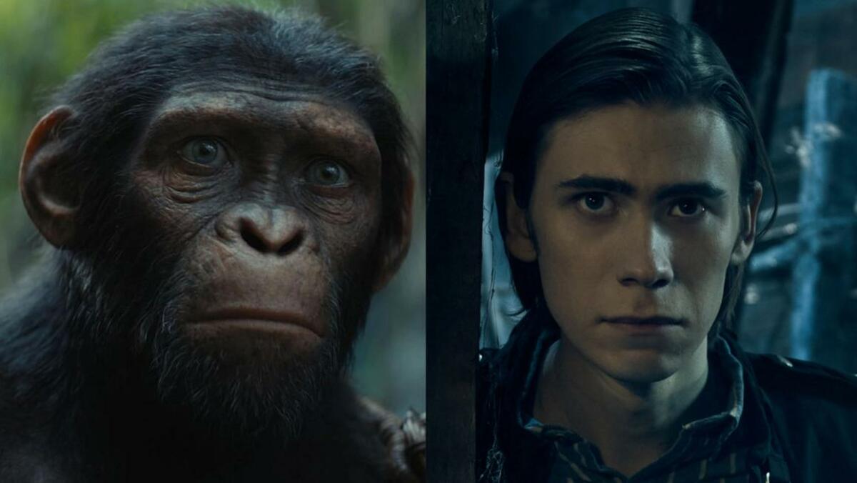 Large 77ced72bc2a1492ee8fe591ec28bdb3e thestand2020owenteague