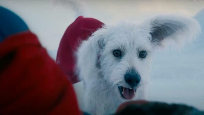 Superhunden Krypto i "Superman". 