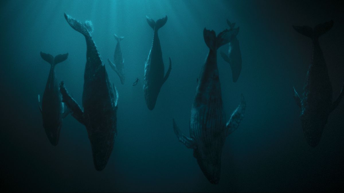 Large 7ccada13157604637f1613de5e55d541 the swar berlinale p 64252d621f7e5