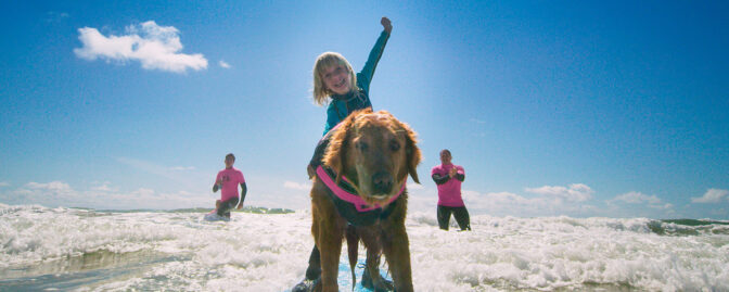 Hundarna tar över Cosmonova på höstlovet