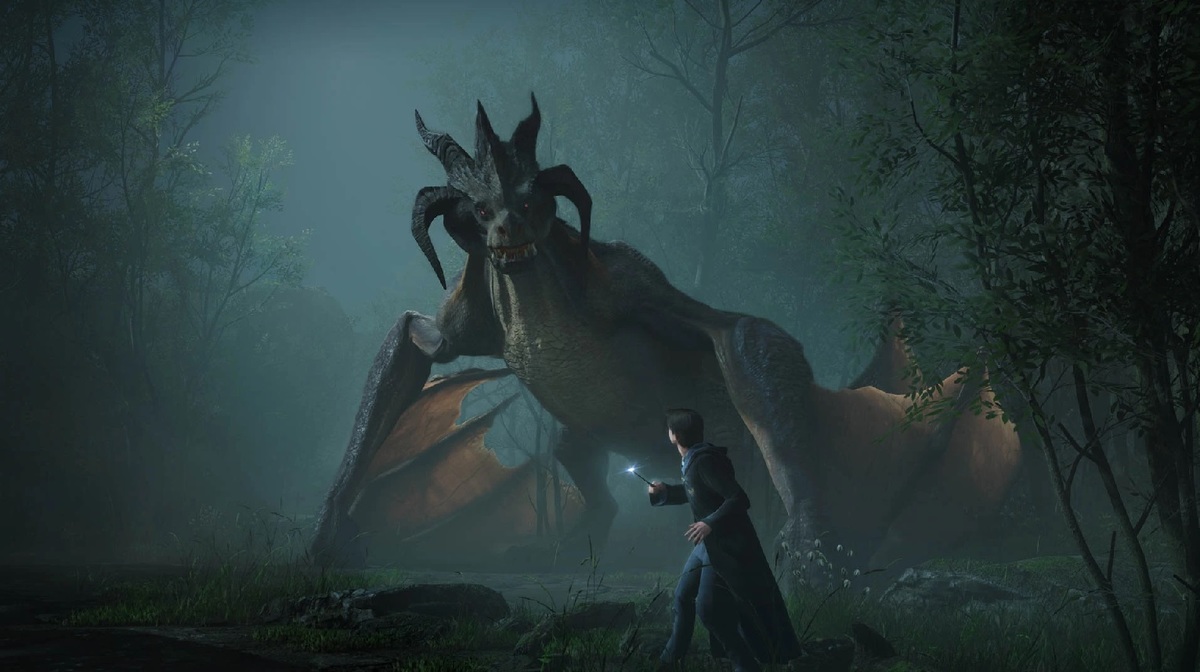 Large 7f872eb433242362a71cd5994b6faf79 drake