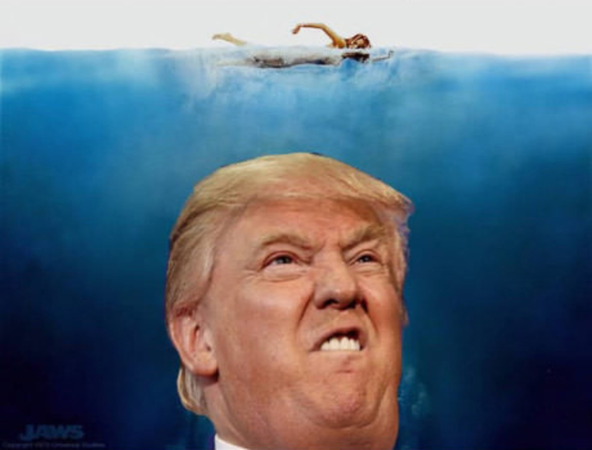 Large 812b42b81fa6cdcb936fd5d76548a743 jaws