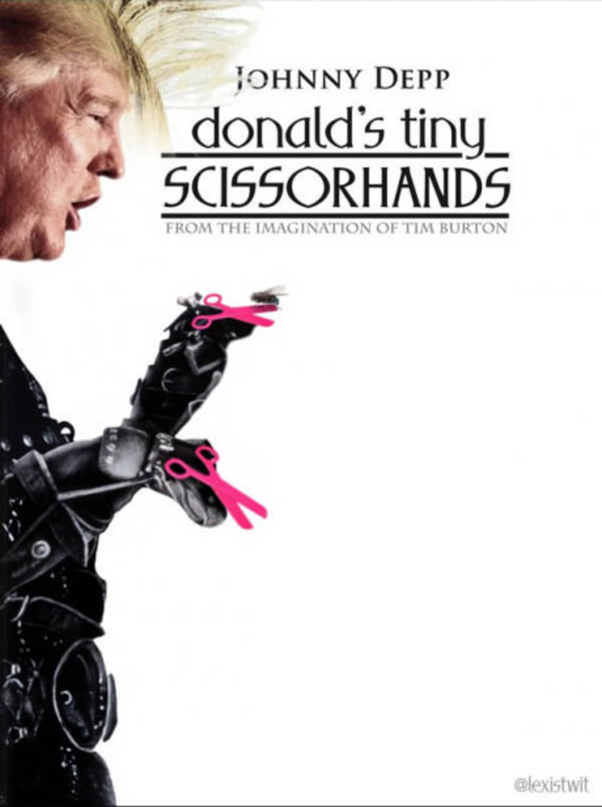 Large 812b42b81fa6cdcb936fd5d76548a743 scissor