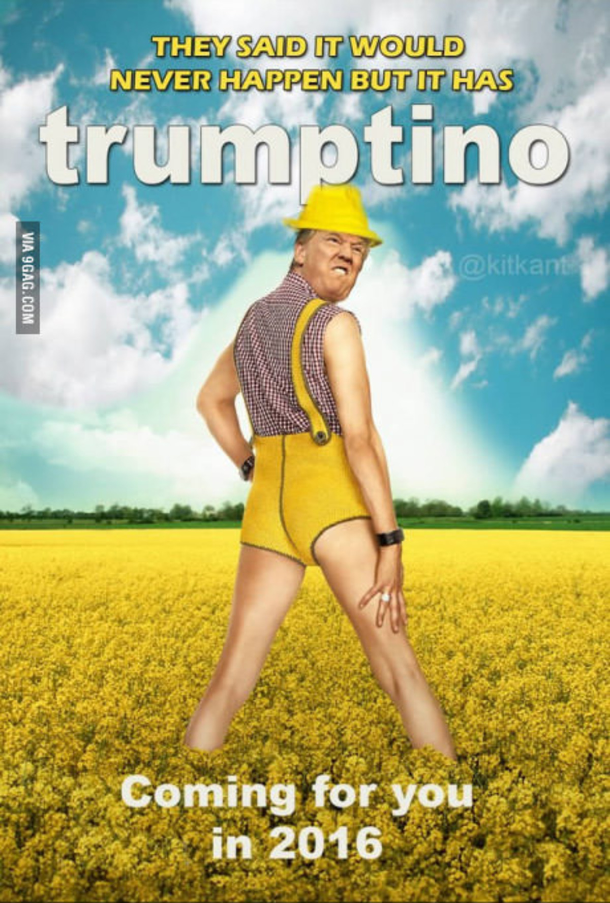 Large 812b42b81fa6cdcb936fd5d76548a743 trumptino