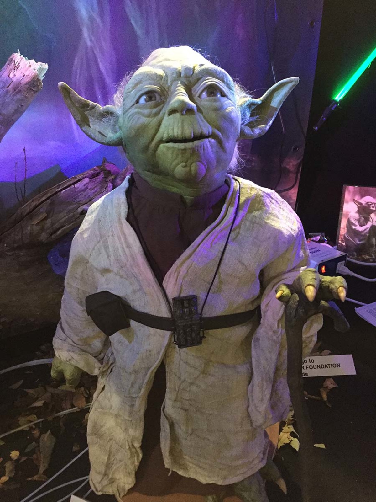 Large 9018d5aff71ef0ab7a33e0537fefd1ed img 1708