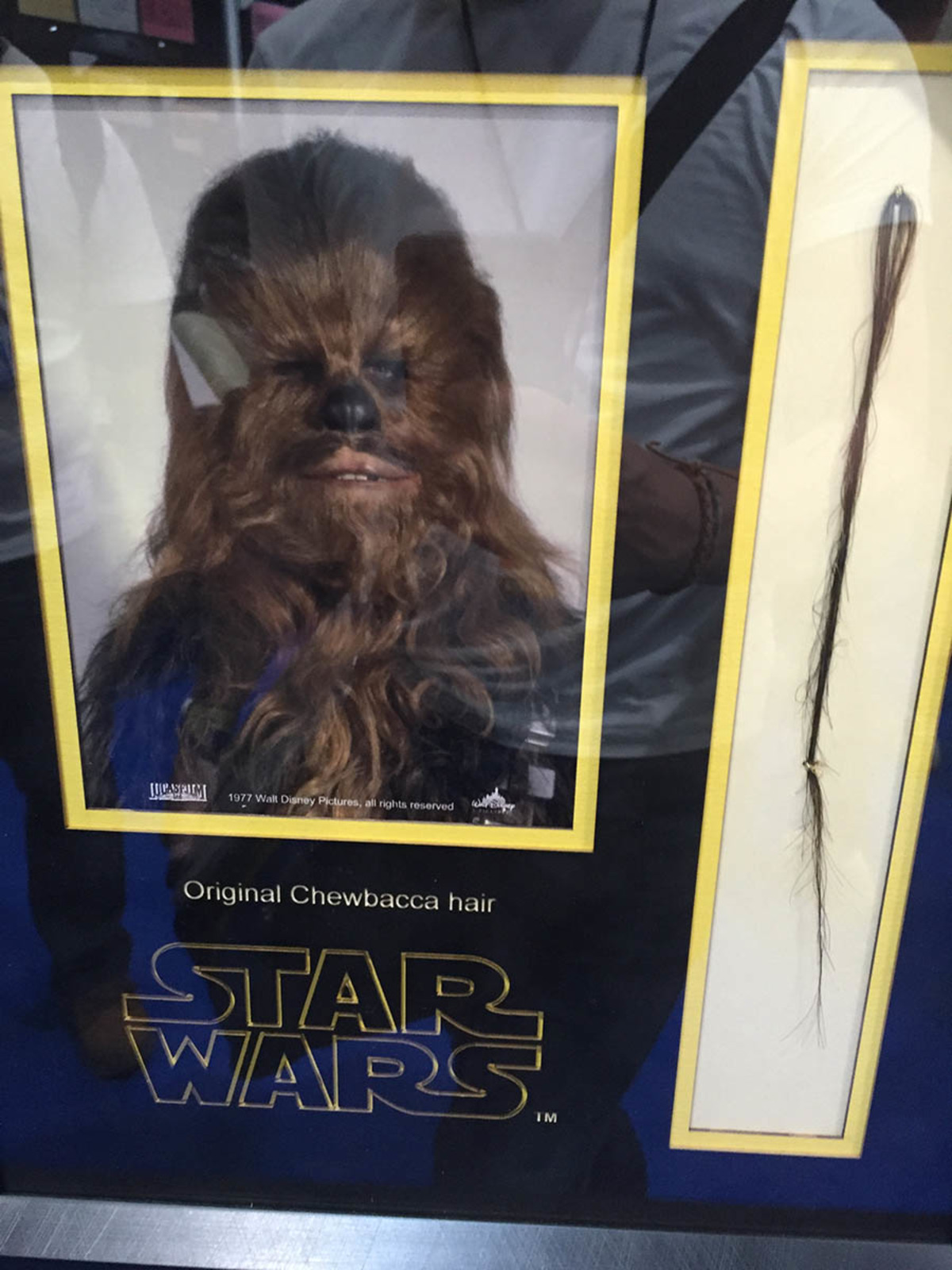 Large 9018d5aff71ef0ab7a33e0537fefd1ed img 1711