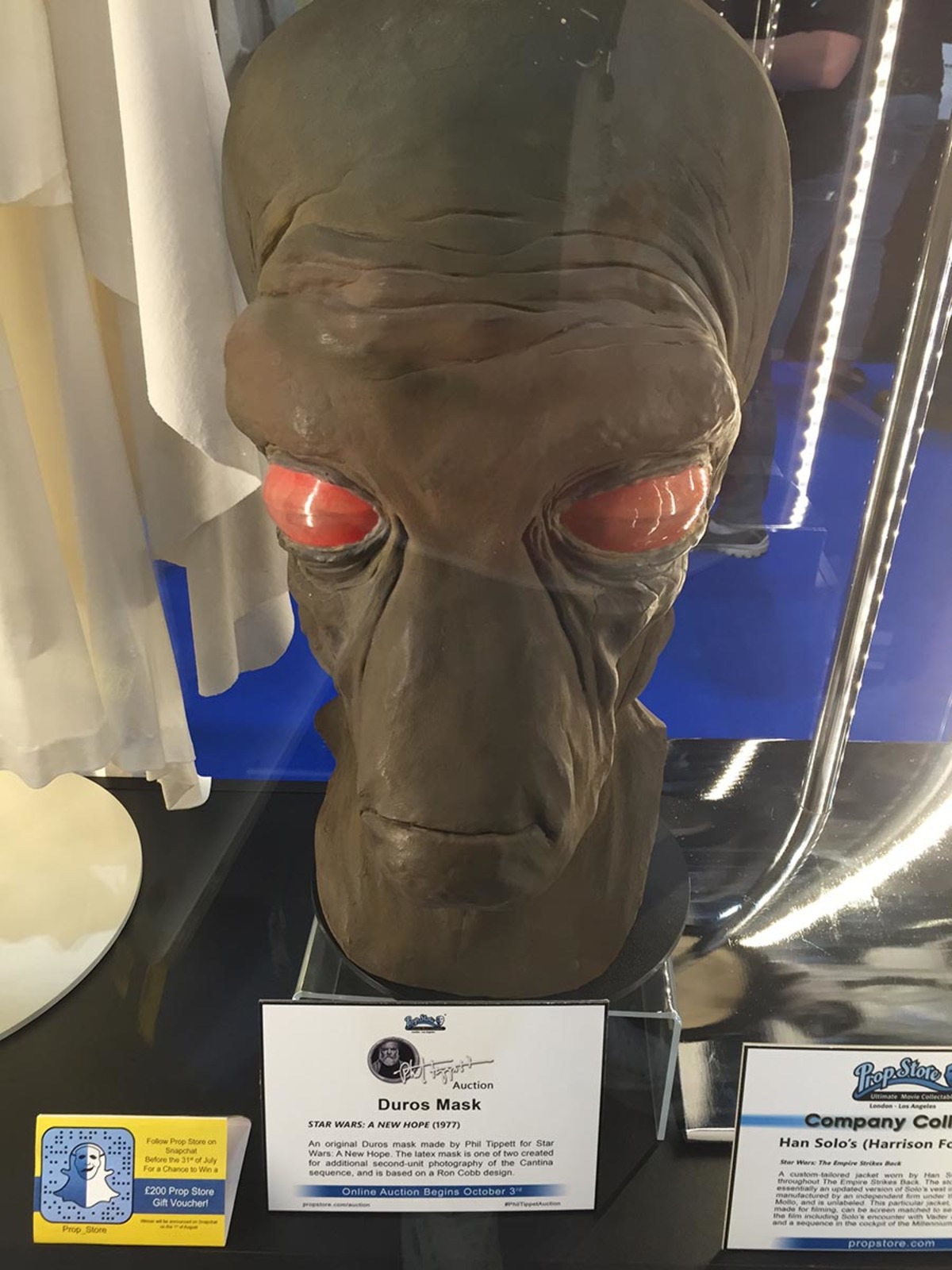 Large 9018d5aff71ef0ab7a33e0537fefd1ed img 1713