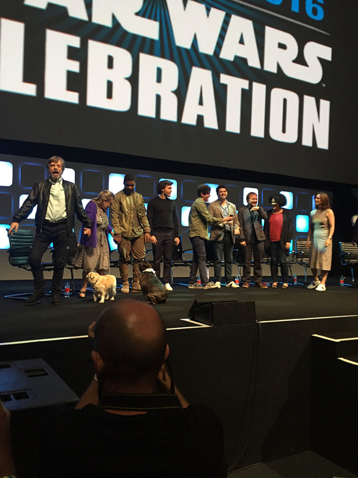 Large 9018d5aff71ef0ab7a33e0537fefd1ed img 1829 20 1