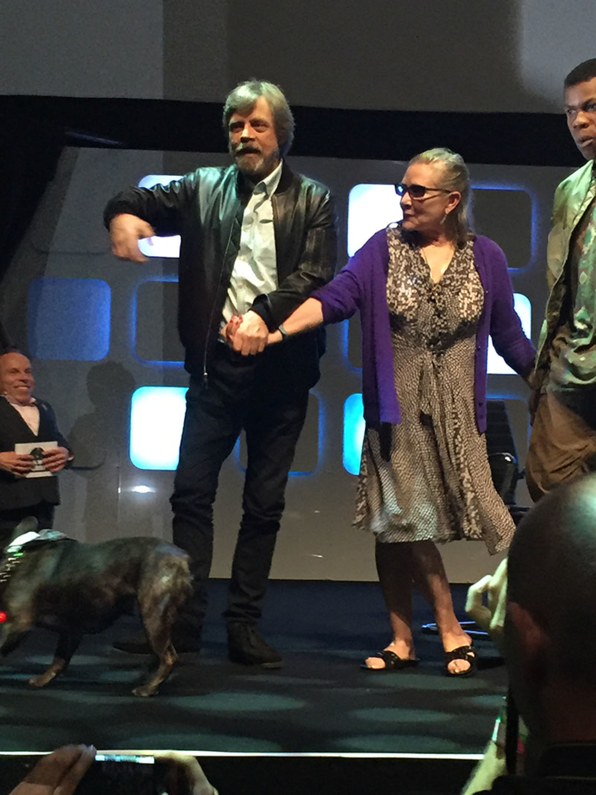 Large 9018d5aff71ef0ab7a33e0537fefd1ed img 1830