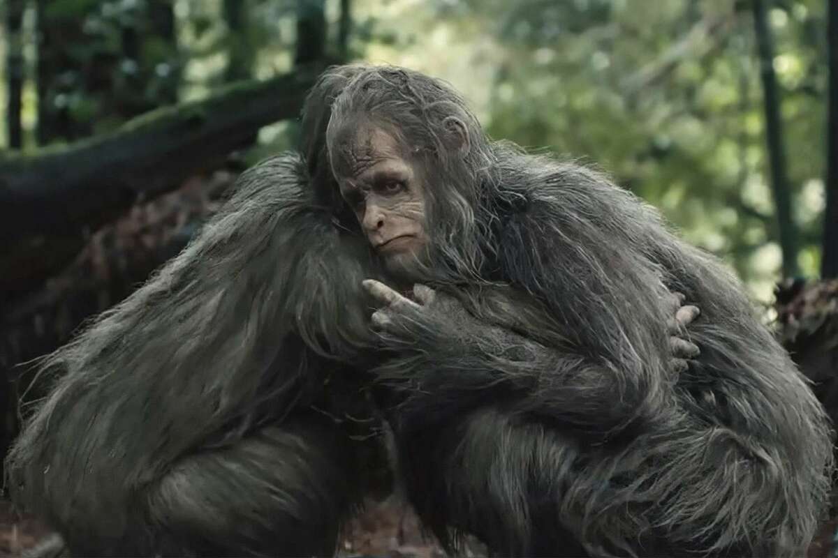 Large 9a1e5a04494cec10bbfd287f9d73b6d1 sasquatch sunset 041124