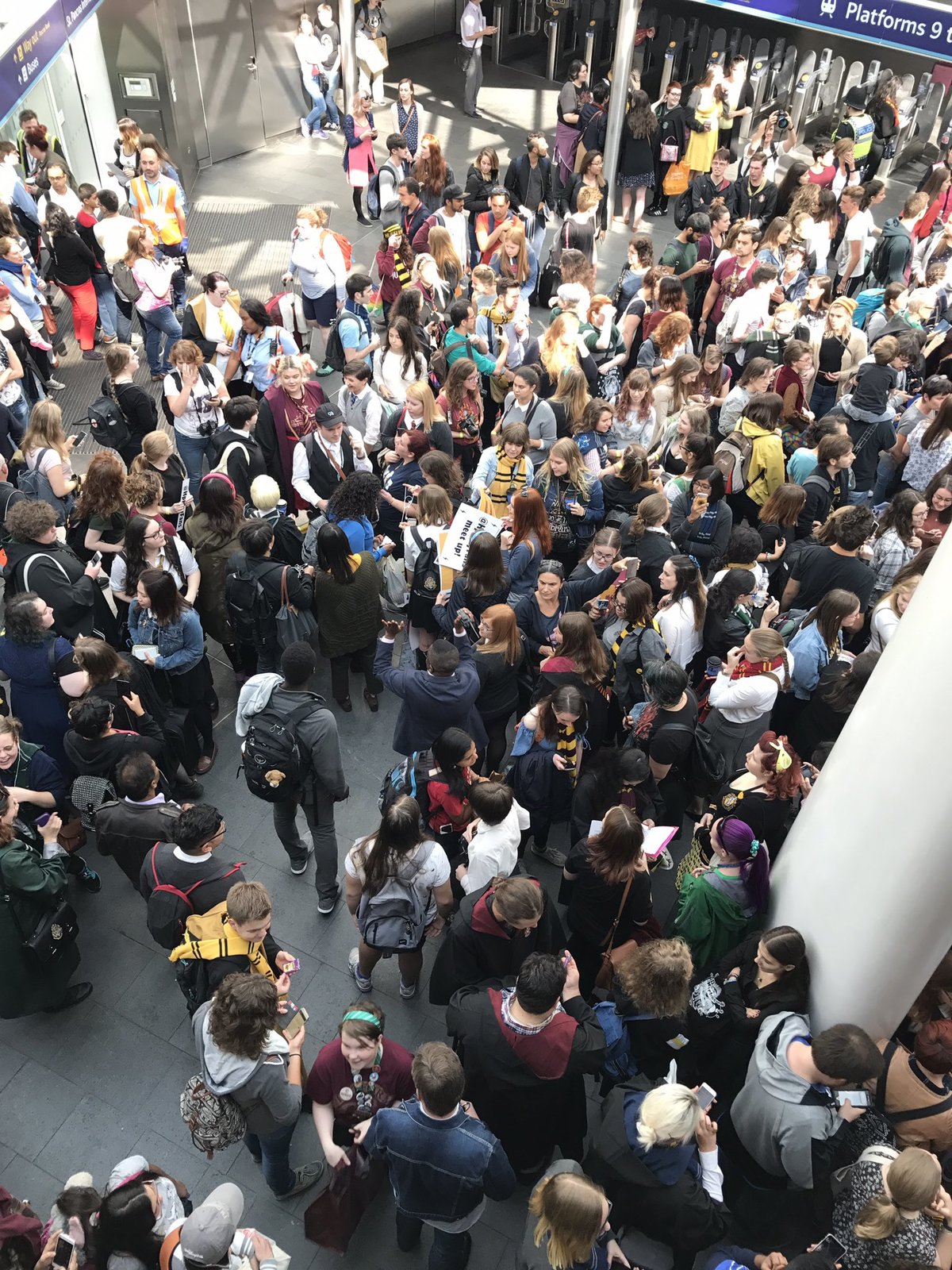 Large 9a46ae726fc9f939f7c10bd5861bd33e diow fhw4aadj  .jpg large