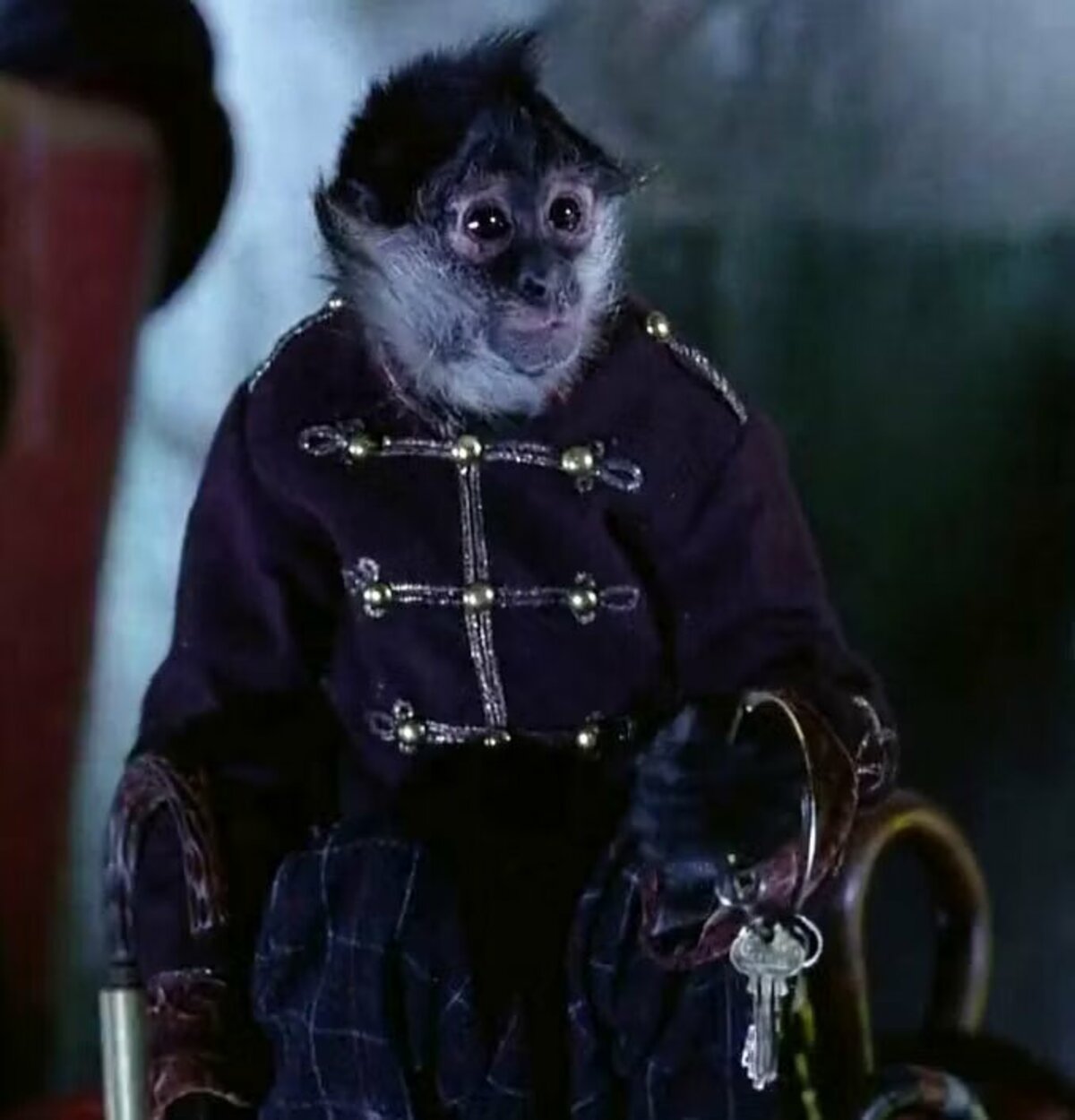Large a61ede37d09dbaf23108748424bc096f devito monkey